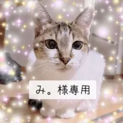 み。様専用ページ