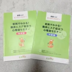 Item thumbnail for item 322fdf23-a081-4d0f-ad05-675616775698