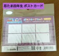 anna@プロフ必読様 リクエスト 2点 まとめ商品