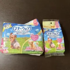 Item thumbnail for item 23a7acd9-46e7-49b3-ab61-9b65445697ab