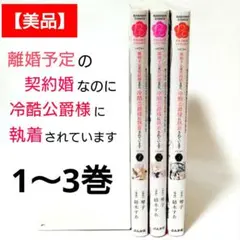 【美品】離婚予定の契約婚なのに、冷酷公爵様に執着されています 1巻〜3巻セット
