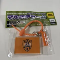 Jリーグ ガチャ　マルチチャーム　清水エスパルス
