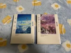 秒速5センチメートル 文学・小説