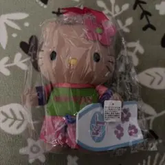 サンリオ ハローキティ 日焼け ぬいぐるみ