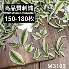 Item thumbnail for item e90e8c67-72bf-4af9-af13-d5d2884cd32d