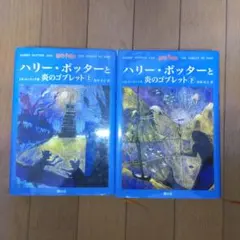 Item thumbnail for item d919ed81-ea4f-4583-a9f9-260122340ca1