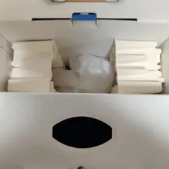 PlayStation5 CFI-1000A01　空き箱