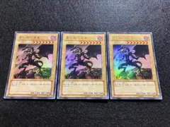 遊戯王 10th アニバーサリー 9 青眼の白龍 高橋和希 サイン yap1