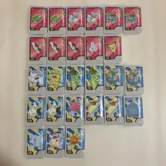 ポケモンフレンダ タグ 23枚セット
