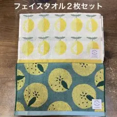 Item thumbnail for item 377a12cd-ad79-4cb6-95ba-d28f9141e7f2