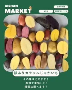 岡山県産　無農薬　訳ありカラフルじゃがいも　1キロ　宅配便コンパクトのサムネイル