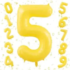 Item thumbnail for item 2dece7f8-68bc-4fb6-9b55-bd91ef9fe747