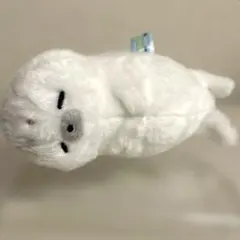 ほわほわアザラシちゃん すいみんちゃん