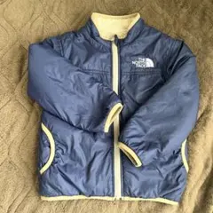 ザノースフェイス110