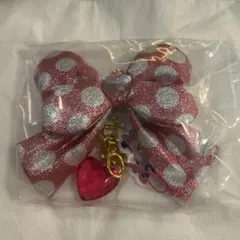 ディズニーパルパルーザ　ミニー リボン キーチェーン