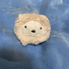 美品　すみっコぐらし　てのりぬいぐるみ　しろくま　ねこ　ぽかぽかねこびより
