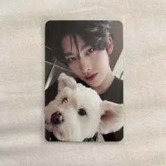 zb1 neversaynever リッキー デジパ レオ トレカ