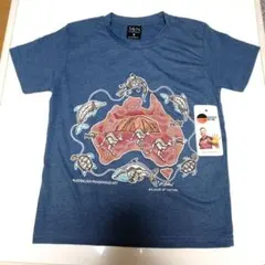 S&N Creations キッズ Tシャツ 8サイズ 新品未使用品 タグ付き