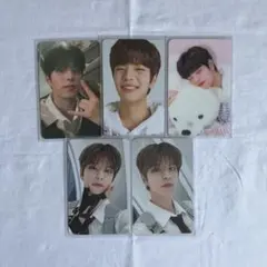 straykids スキズ pilot NECIFIC ペンミ トレカ スンミン