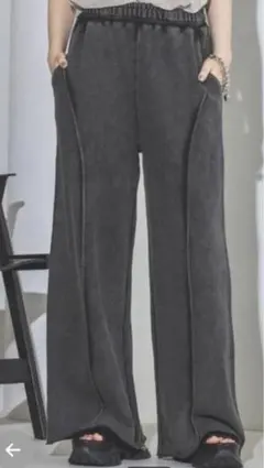 JEANASIS ブリーチカコウスウェット Fサイズ