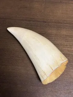 2025年最新】鯨歯 印材の人気アイテム - メルカリ