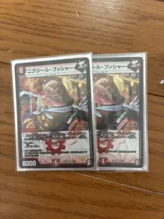 ニグジールブッシャー 2枚