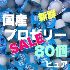 昆虫ゼリー プロゼリー50 クワガタ・カブトムシ・ハムスター・モモンガ