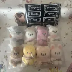 追加！SKZOO 5'clock 10cm ぬいぐるみ　コンプリート 全員 ぬい