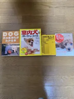 ハンドメイド・ドッグ : 犬と暮らすこんな方法 ハンドメイド・ドッグ: 犬と暮らすこんな方法 | 小柳 英美 |本 | 通販