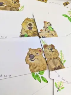 みーちゃんさん専用