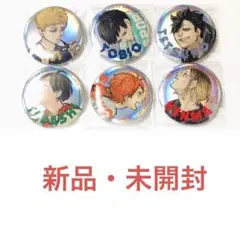 ハイキュー!! メタリック缶バッジ