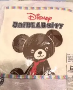 匿名配送【新品・送料込】ディズニーハンドタオル&ミニタオルセット