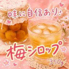 奥久慈産】梅シロップ300ml×3本 - メルカリ