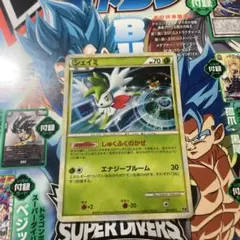 シェイミ　005/015 ◻︎2009年エキスパートデッキ