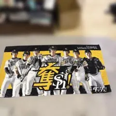 福岡ソフトバンクホークス 応援タオル　バスタオル