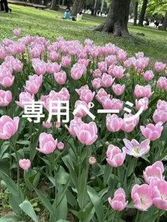 霜月さん専用ページ