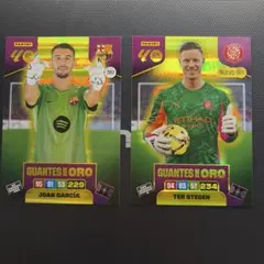 PANINI Adrenalyn XL GUANTES DE ORO 2枚