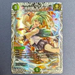 ギャイア　キャラ　デュエルマスターズ ギャイア キャラ デュエルマスターズ デュエマ DM24-EX1/PR3/SR