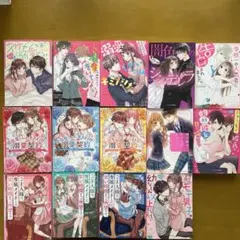 野いちご文庫14冊