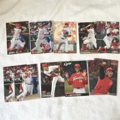 広島東洋カープ トレーディングカードセット プロ野球チップス