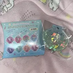 サンリオ カスタムアクリルチャーム ポチャッコ