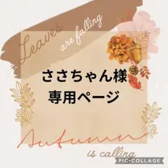 ささちゃん様 専用ページ