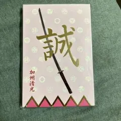 Item thumbnail for item 2e4c2901-b300-432a-a012-ac78e754c971