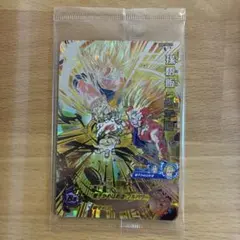非売品✰【レアパラレル仕様】『孫悟飯：少年期』 SDBH UGM5-002 DA
