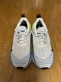 Nike インフィニティラン 4 25cm