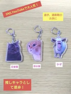 猫ミーム キーホルダー ３個セット！
