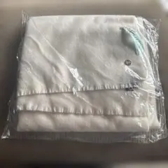 Item thumbnail for item b4983e44-d936-4341-92fa-76b095c295f6