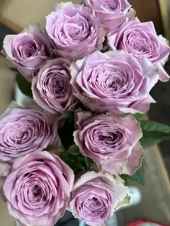 ❀ご購入前にコメントお願い致します❀ バラ 苗 切り花品種 - メルカリ