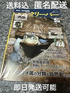 2026年最新】爬虫類両生類雑誌の人気アイテム - メルカリ