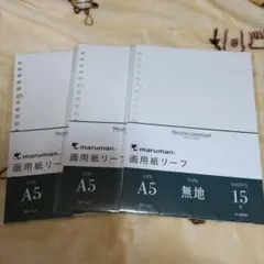 Item thumbnail for item 86b9c89a-e586-40e8-9c03-e0d6478abf3b